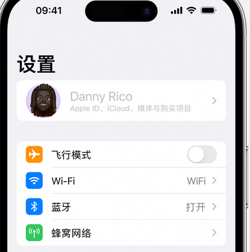 丰台appleID维修服务iPhone设置中Apple ID显示为灰色无法使用 