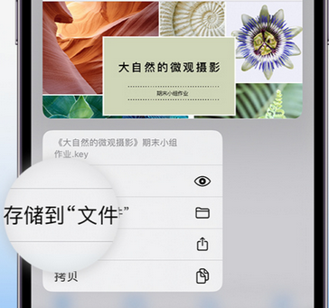 丰台apple维修中心分享iPhone文件应用中存储和找到下载文件