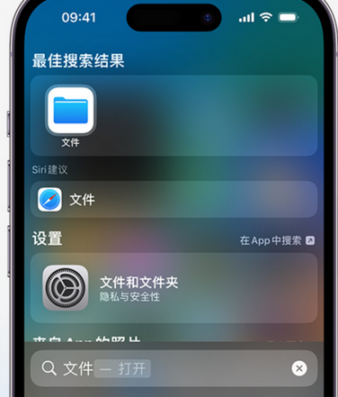 丰台apple维修中心分享iPhone文件应用中存储和找到下载文件 