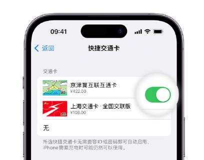 丰台apple维修点分享iPhone上更换Apple Pay快捷交通卡手绘卡面 