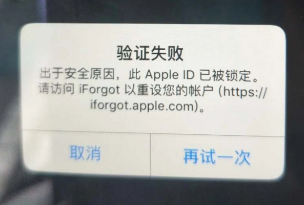 丰台iPhone维修分享iPhone上正常登录或使用AppleID怎么办 