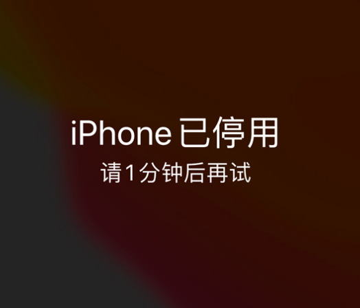 丰台苹果手机维修分享:iPhone 显示“不可用”或“已停用”怎么办？还能保留数据吗？ 