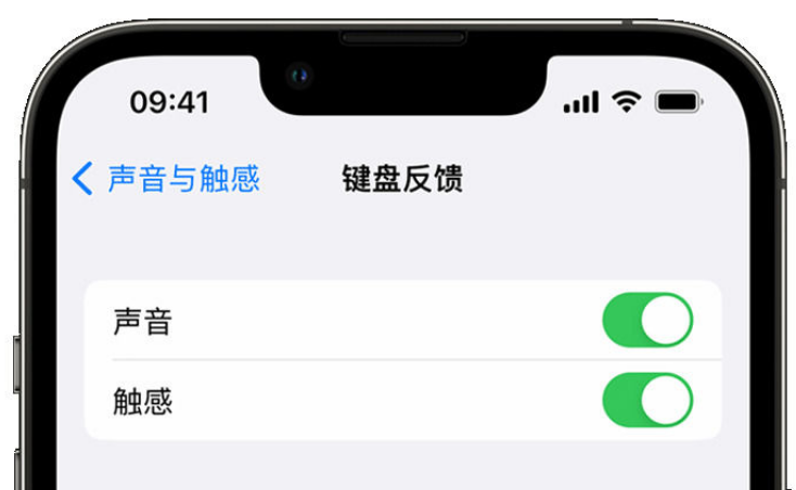 丰台苹果手机维修分享iPhone 14触感键盘使用方法 