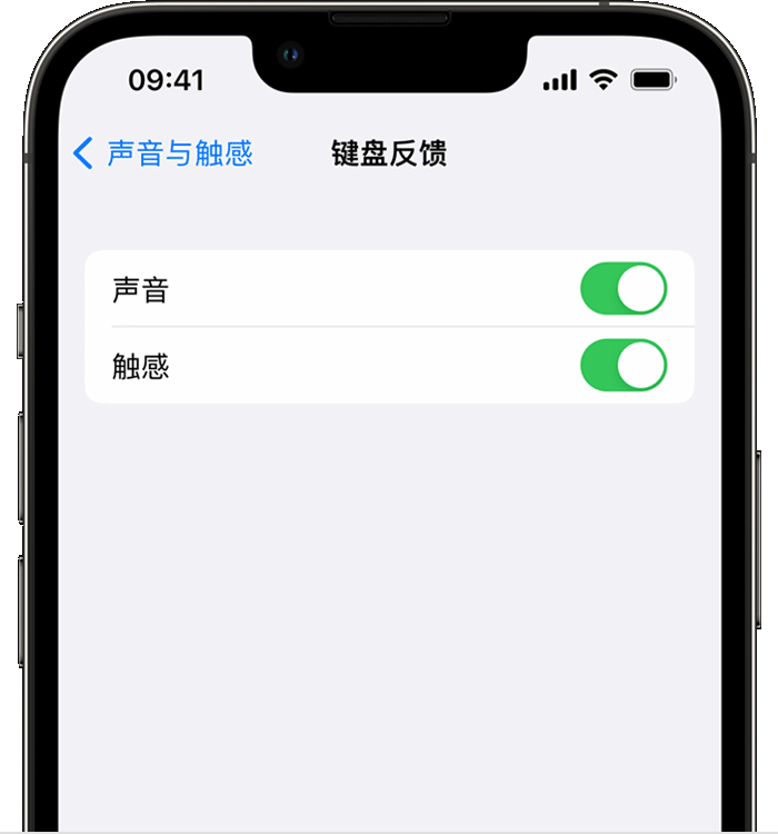 丰台苹果14维修店分享如何在 iPhone 14 机型中使用触感键盘 