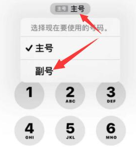 丰台苹果14维修店分享iPhone 14 Pro Max使用副卡打电话的方法 