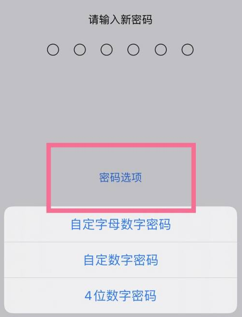 丰台苹果14维修分享iPhone 14plus设置密码的方法 