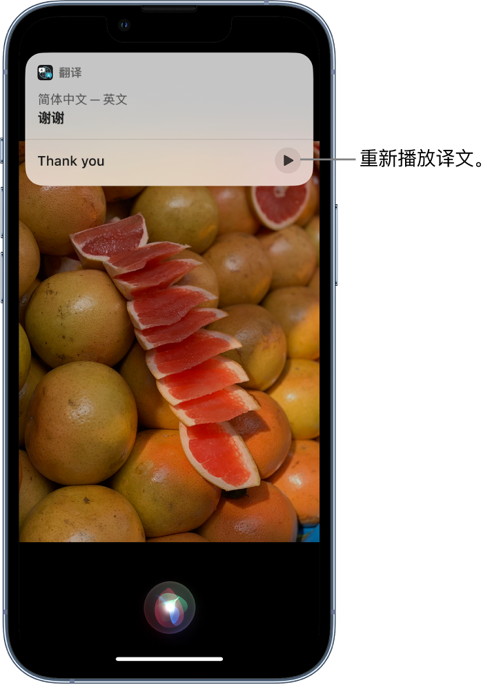 丰台苹果14维修分享 iPhone 14 机型中使用 Siri：了解 Siri 能帮你做什么 