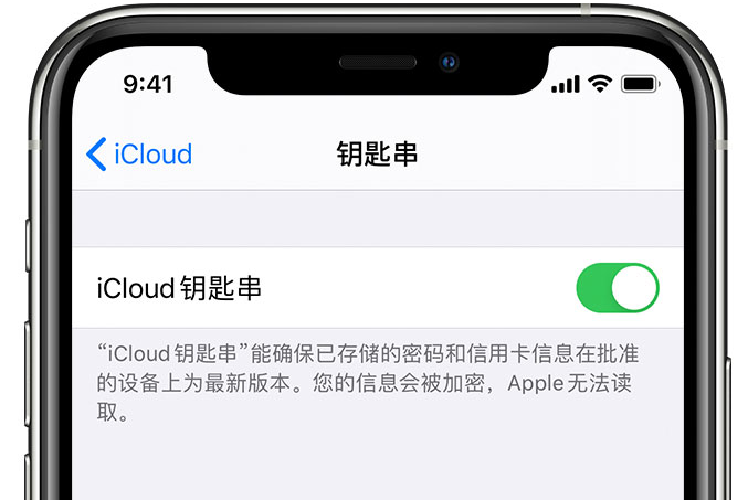 丰台苹果手机维修分享在 iPhone 上开启 iCloud 钥匙串之后会储存哪些信息 