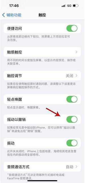 丰台苹果手机维修分享iPhone手机如何设置摇一摇删除文字 