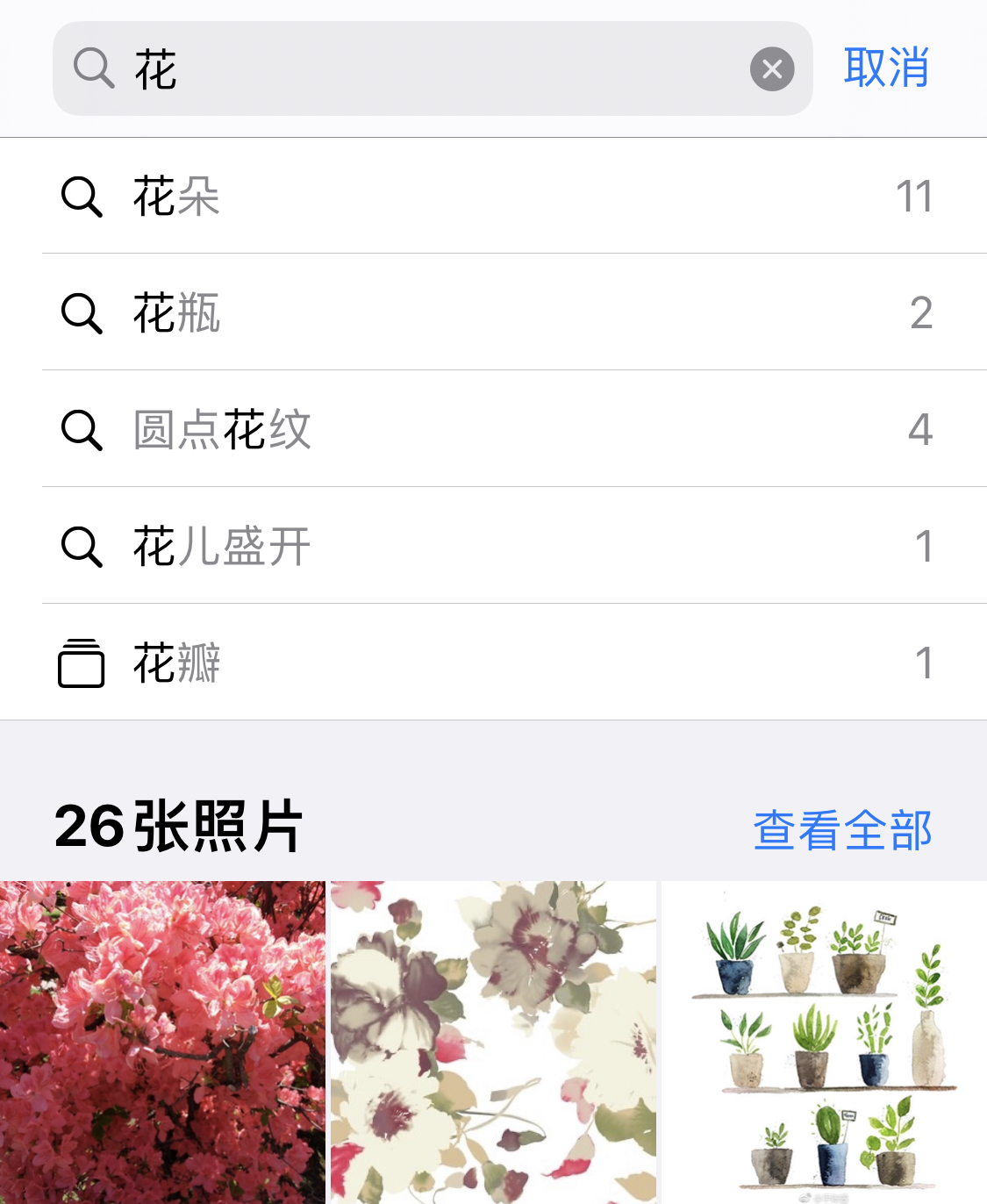 丰台苹果手机维修分享iPhone 小技巧 