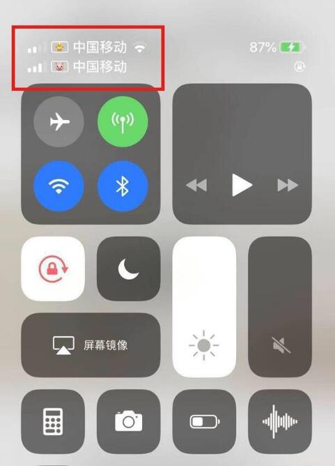 丰台苹果手机维修分享为 iPhone 12 双卡设置标签 